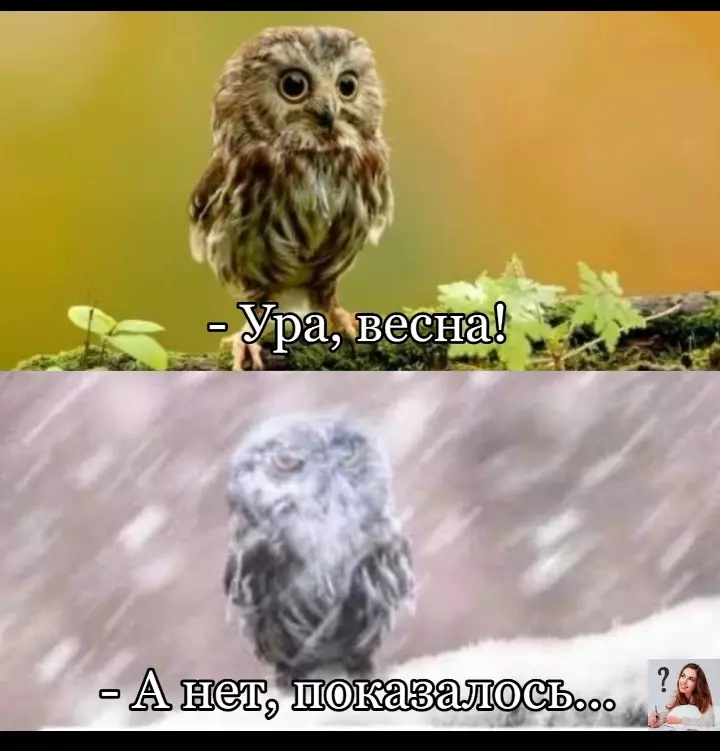 Кафе "У пани Сони"