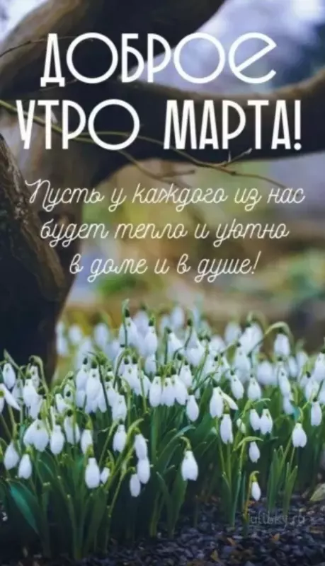 Кафе "У пани Сони"