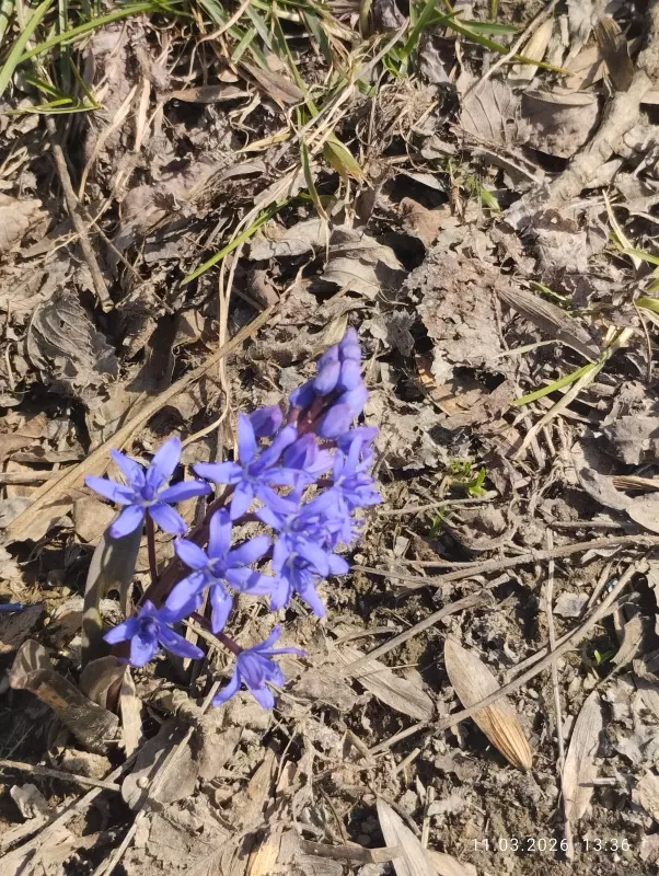 Кафе "У пани Сони"