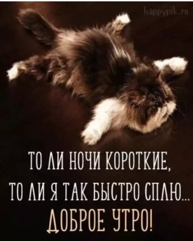 Кафе "У пани Сони"