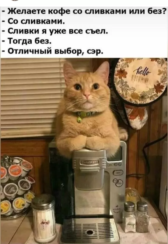 Кафе "У пани Сони"