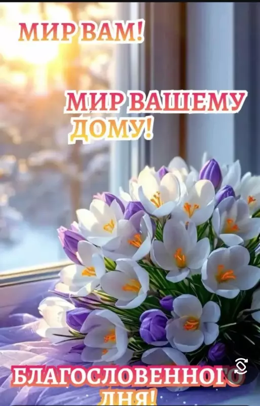 Кафе "У пани Сони"