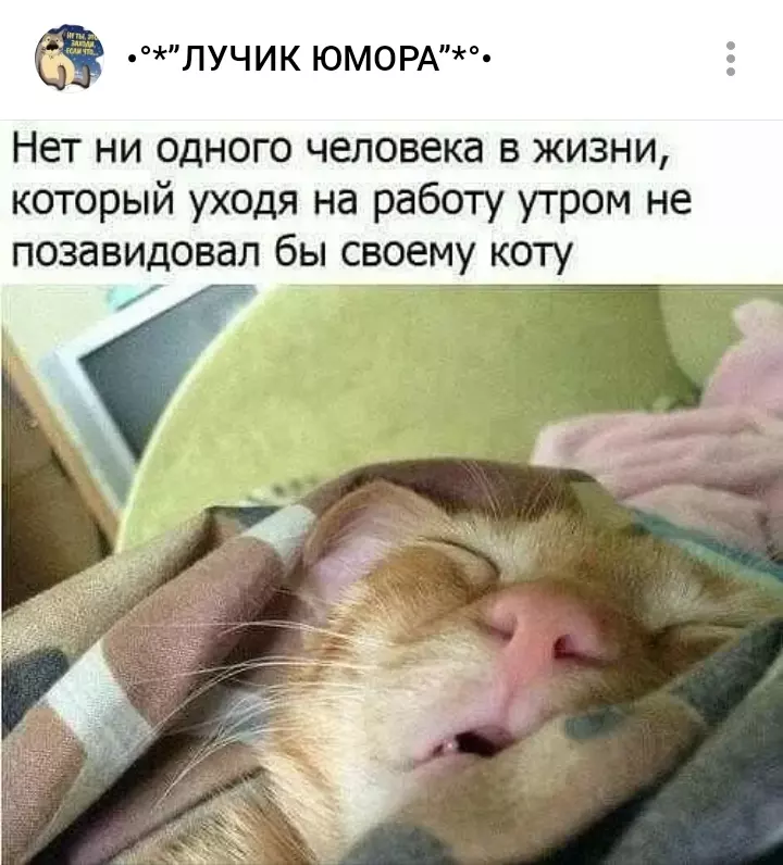 Кафе "У пани Сони"