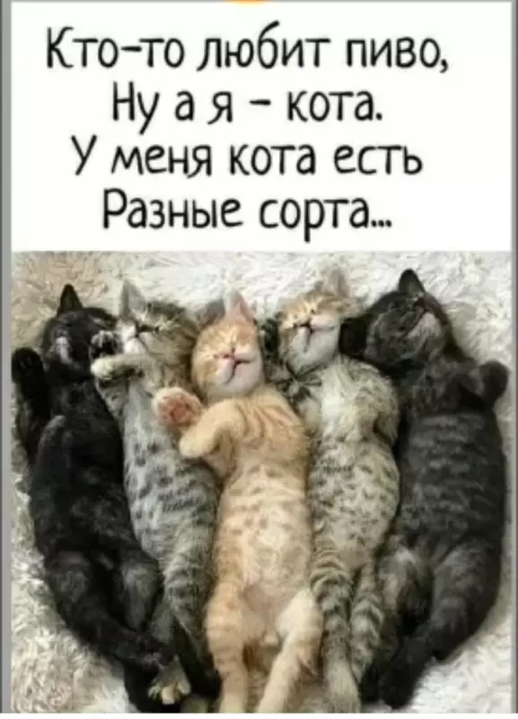 Кафе "У пани Сони"