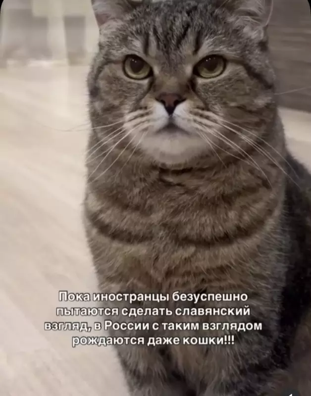 Кафе "У пани Сони"