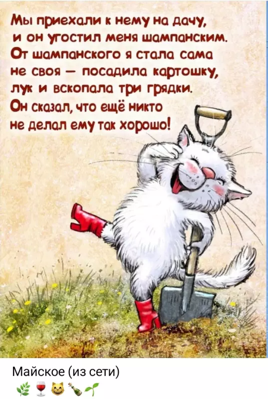 Кафе "У пани Сони"