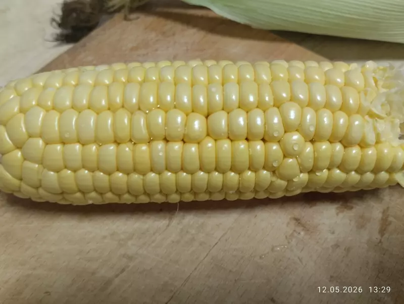 Кафе "У пани Сони"