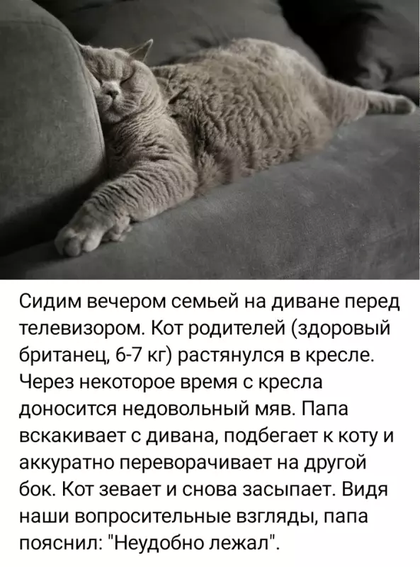 Кафе "У пани Сони"