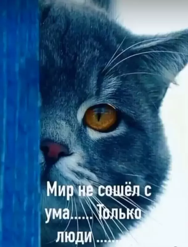 Кафе "У пани Сони"