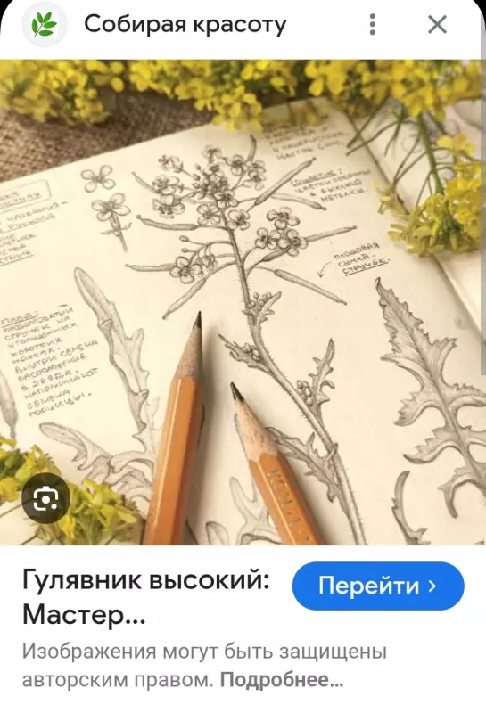 Кафе "У пани Сони"