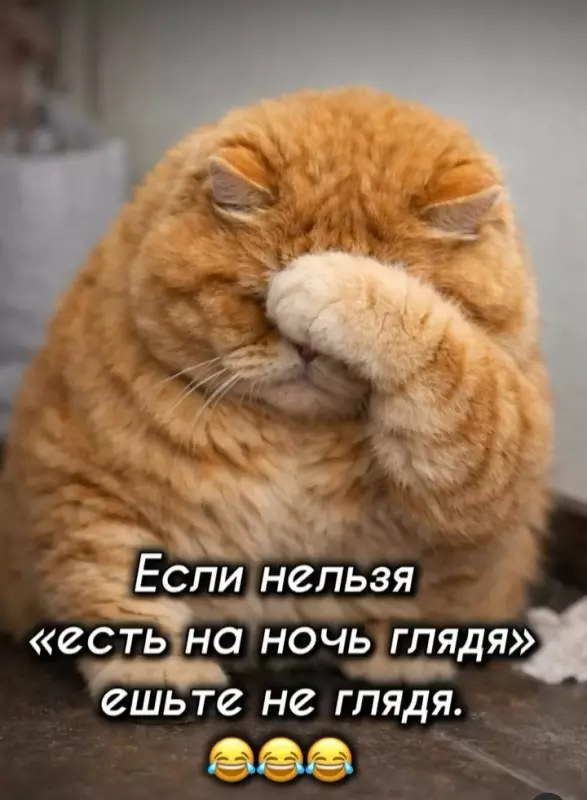 Кафе "У пани Сони"