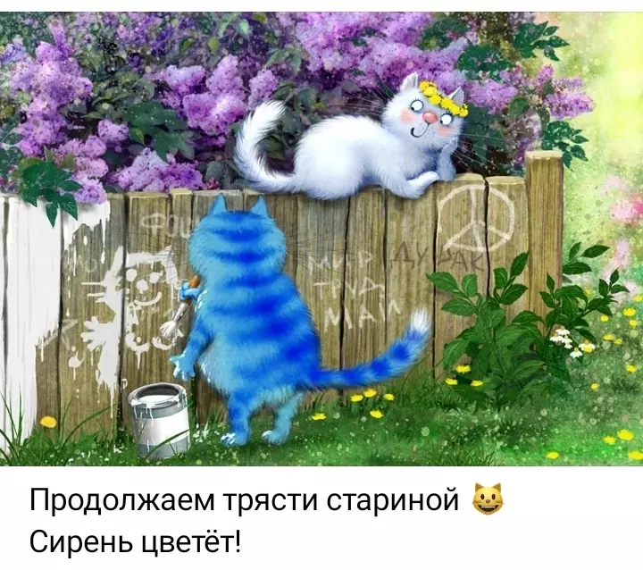 Кафе "У пани Сони"