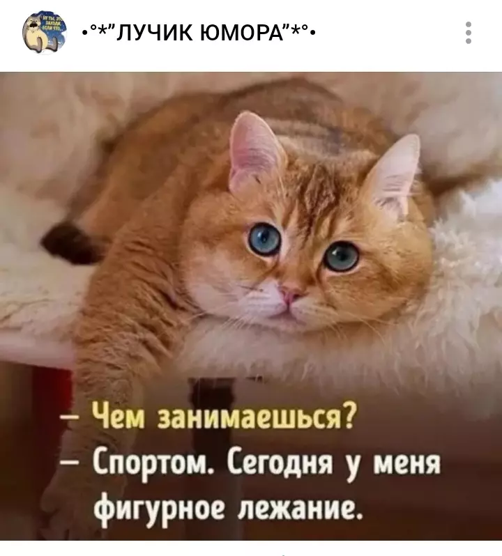 Кафе "У пани Сони"