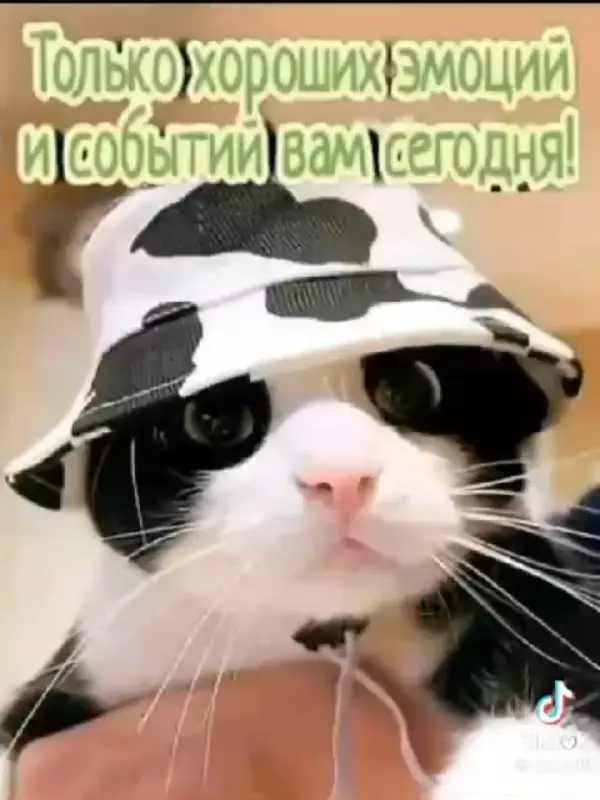 Кафе "У пани Сони"