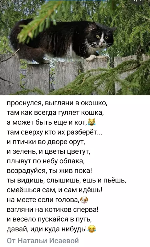 Кафе "У пани Сони"