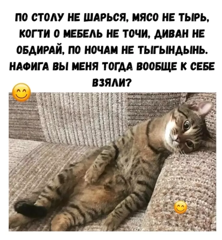 Кафе "У пани Сони"