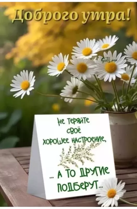 Кафе "У пани Сони"