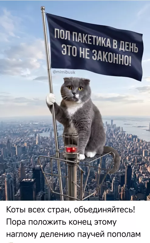 Кафе "У пани Сони"