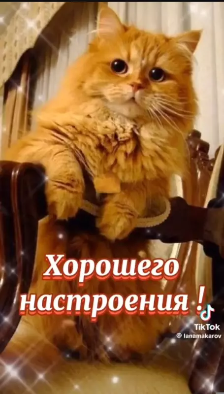 Кафе "У пани Сони"