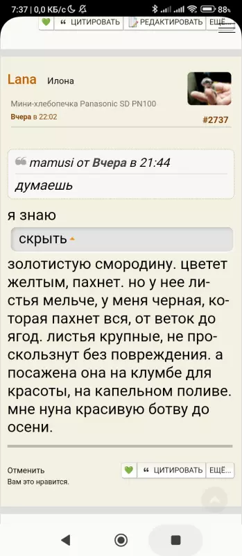 Кафе "У пани Сони"