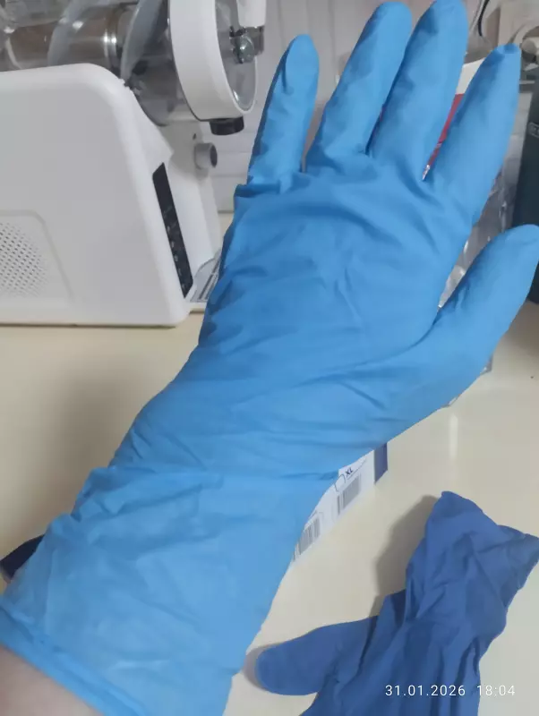 Кто имеет опыт покупки товаров на Wildberries?