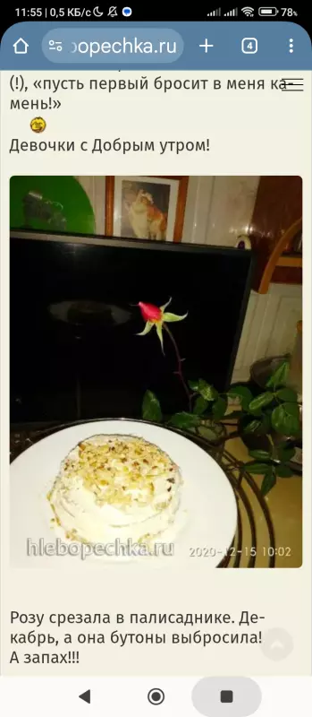 Полезное пирожное "Наполеон"  к завтраку за 5 минут