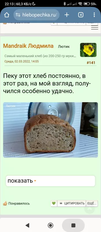 Мини-хлебопечка Panasonic SD PN100