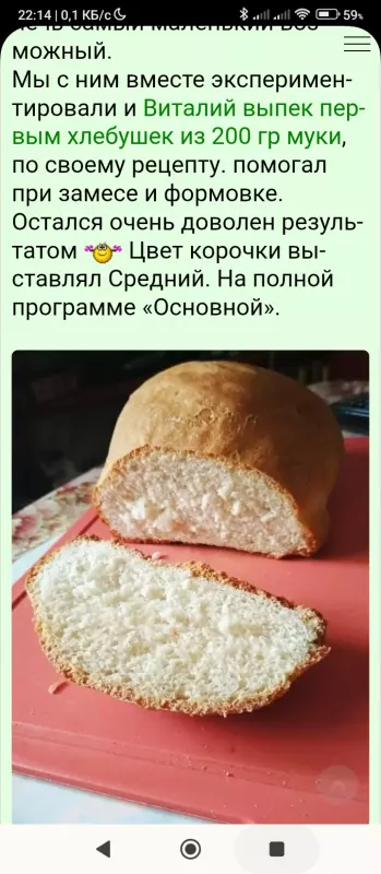 Мини-хлебопечка Panasonic SD PN100