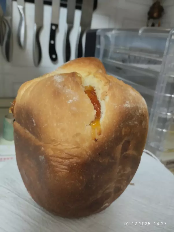 Мини-хлебопечка Panasonic SD PN100