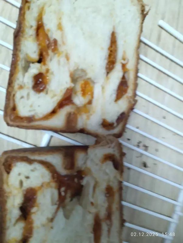 Мини-хлебопечка Panasonic SD PN100