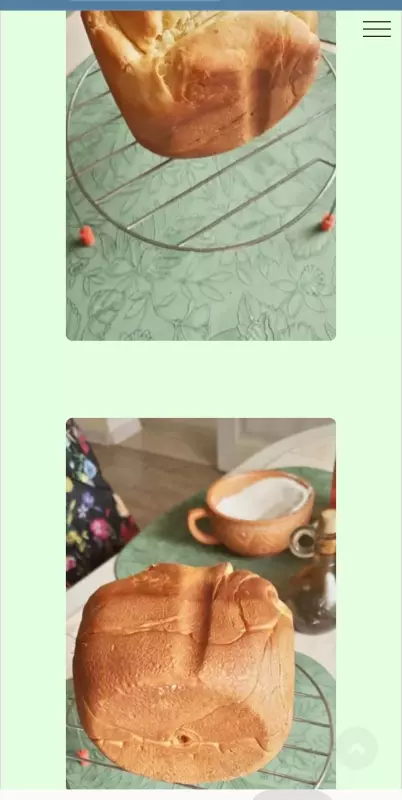 Мини-хлебопечка Panasonic SD PN100