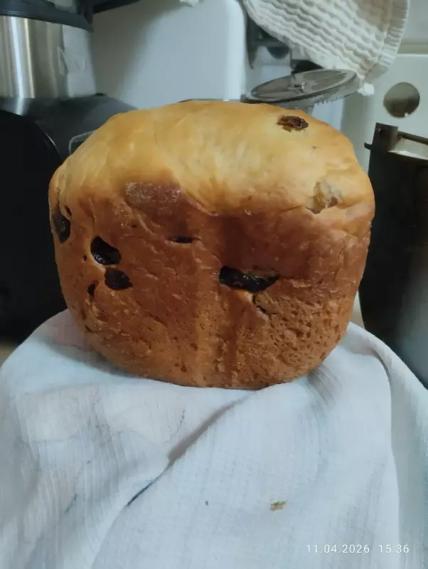 Мини-хлебопечка Panasonic SD PN100