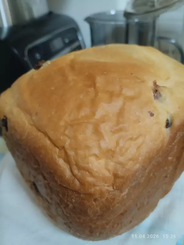 Мини-хлебопечка Panasonic SD PN100