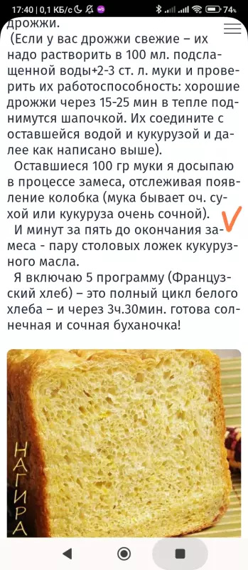 Мини-хлебопечка Panasonic SD PN100
