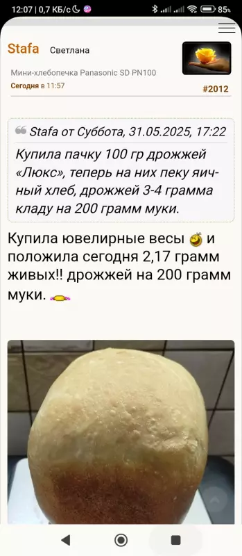 Мини-хлебопечка Panasonic SD PN100