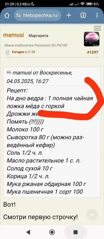Мини-хлебопечка Panasonic SD PN100