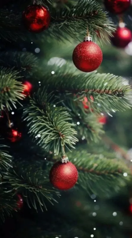 С Новым 2026 годом!