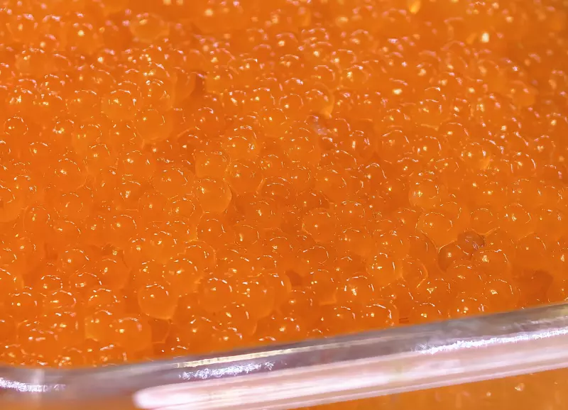 Где, что и когда купить в Москве