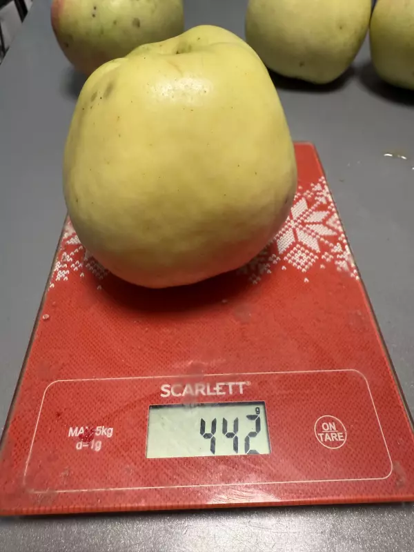 Про всё на свете с Гюзелью