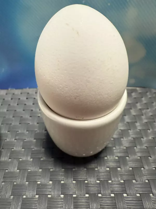 Про всё на свете с Гюзелью