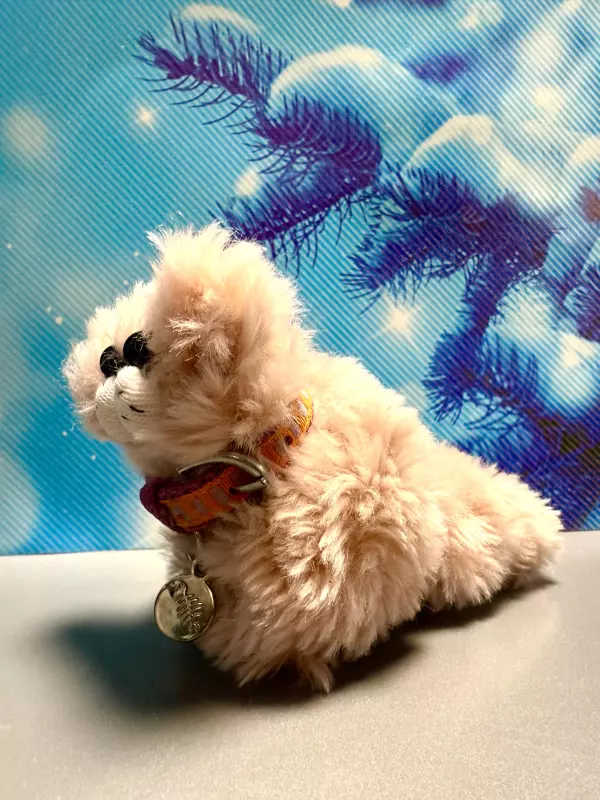 Про всё на свете с Гюзелью