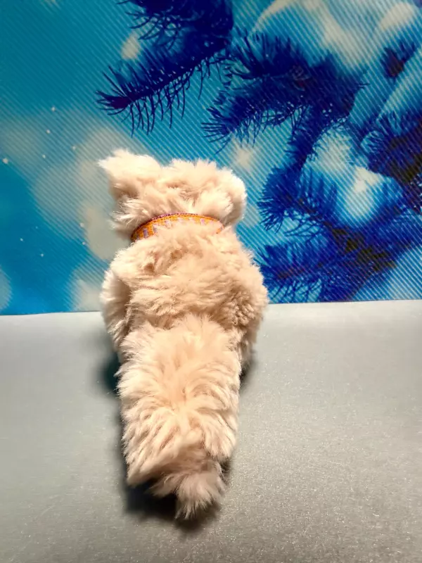 Про всё на свете с Гюзелью