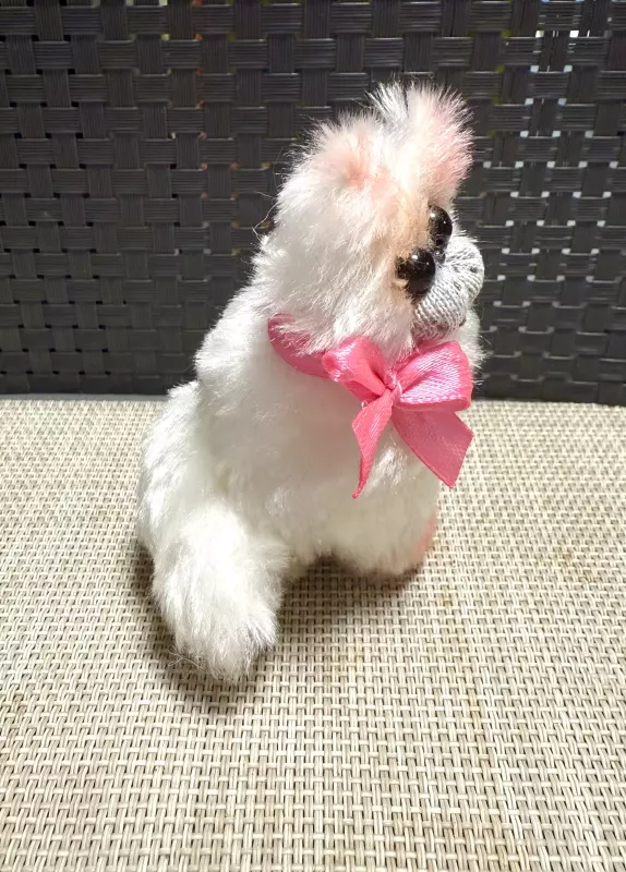 Про всё на свете с Гюзелью