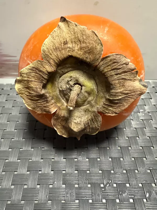 Про всё на свете с Гюзелью