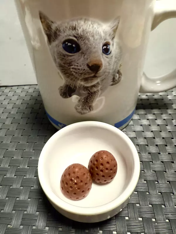 Про всё на свете с Гюзелью