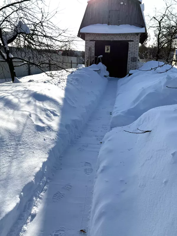 Про всё на свете с Гюзелью