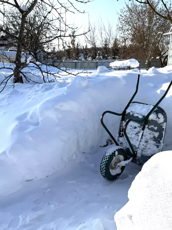 Про всё на свете с Гюзелью