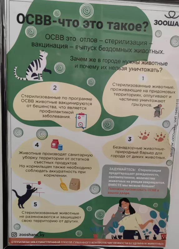 Кто сказал "Мяу"?