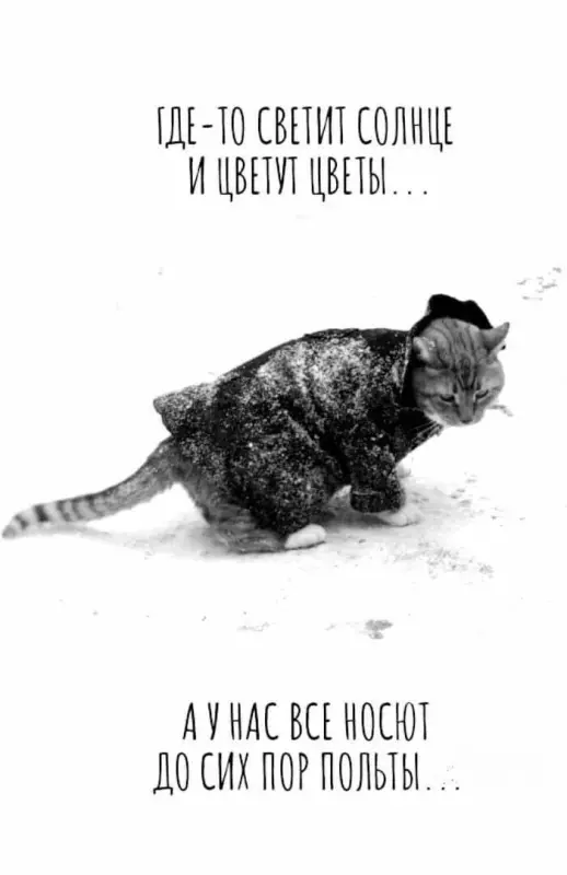 И о погоде