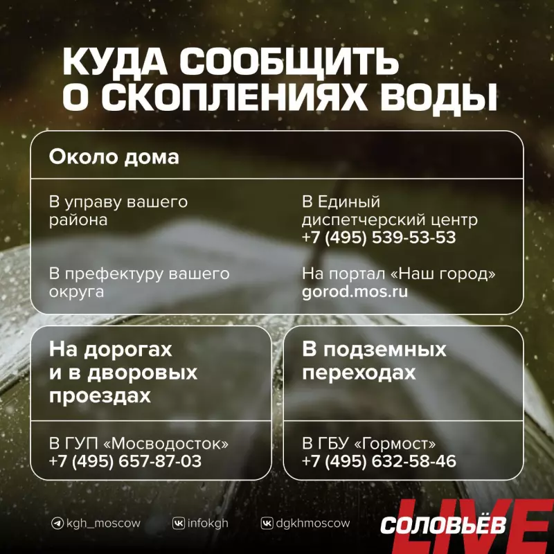 И о погоде
